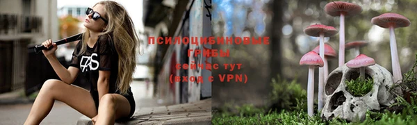 прущий лед Нягань