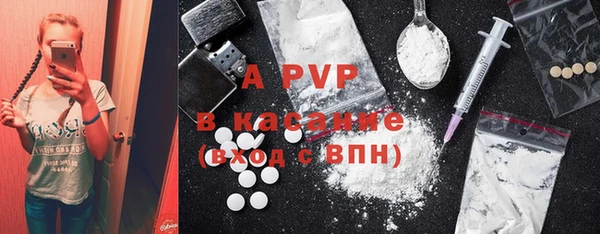 ПСИЛОЦИБИНОВЫЕ ГРИБЫ Бородино