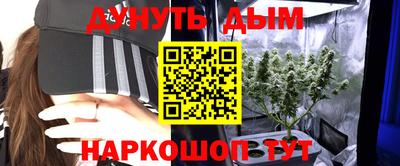 твердый Гусев