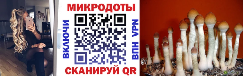 Галлюциногенные грибы ЛСД  Сарапул 