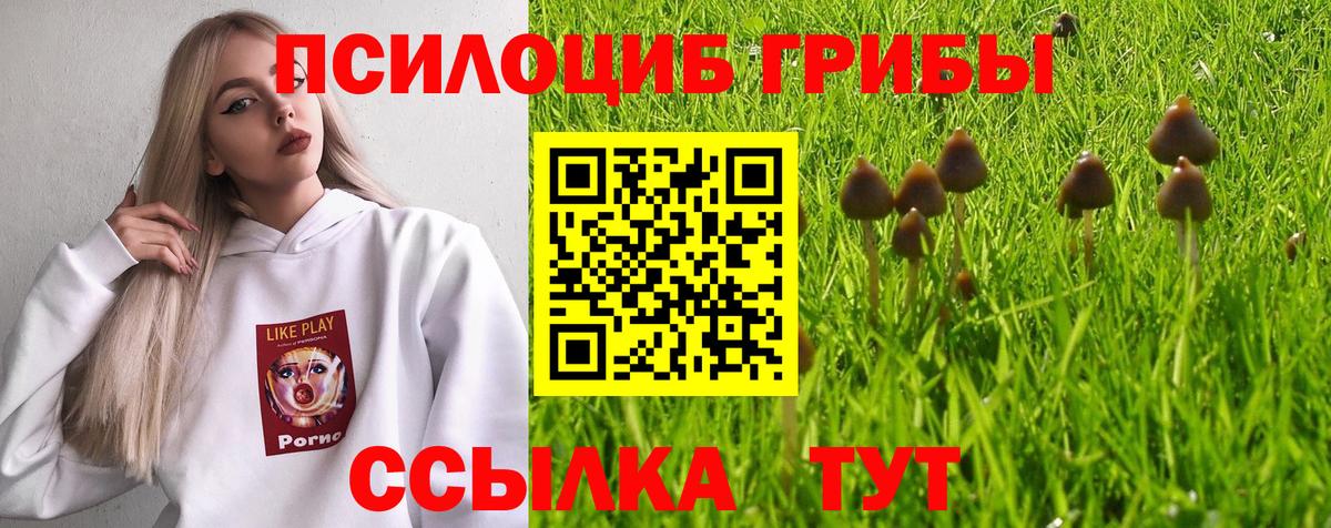 Галлюциногенные грибы GOLDEN TEACHER Сарапул