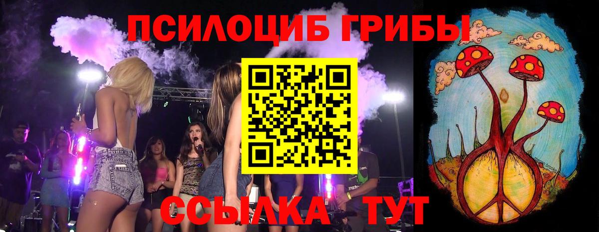 Псилоцибиновые грибы мицелий  Вход с VPN  Сарапул  купить наркотики сайты  Галлюциногенные грибы Psilocybe 